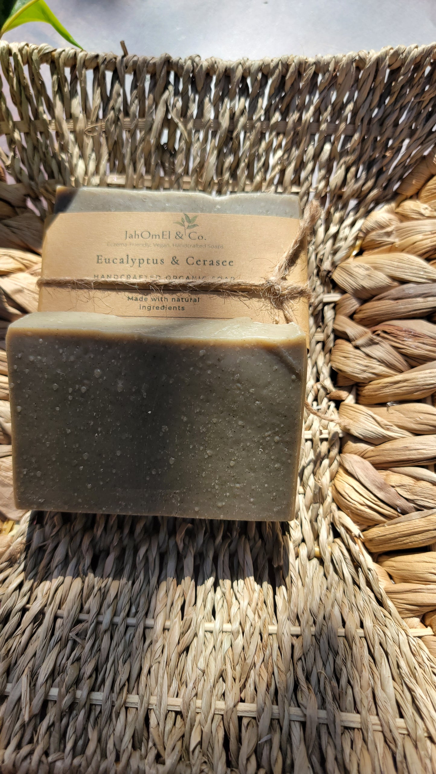 Eucalyptus & Cerasee Soap - JahOmEl & Co.